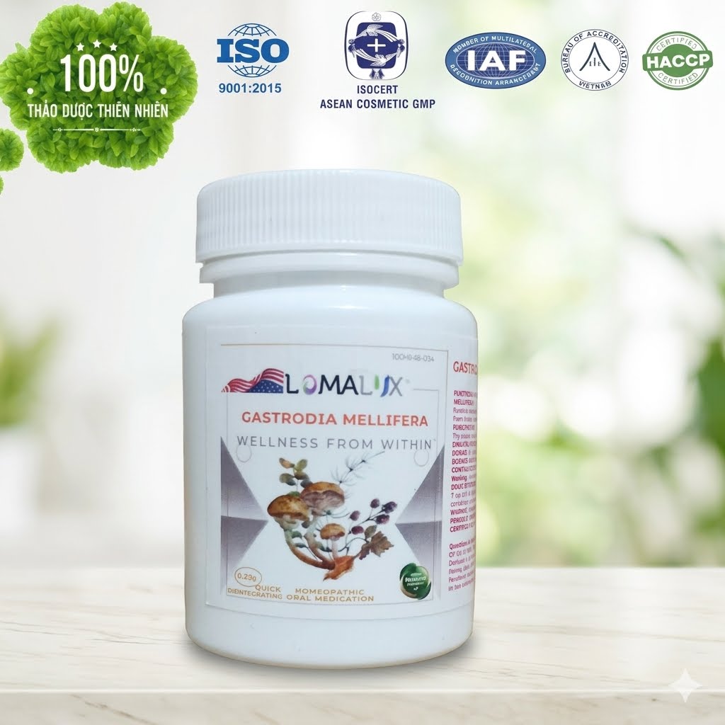 Thảo dược cho chứng động kinh Gastrodia mellifera